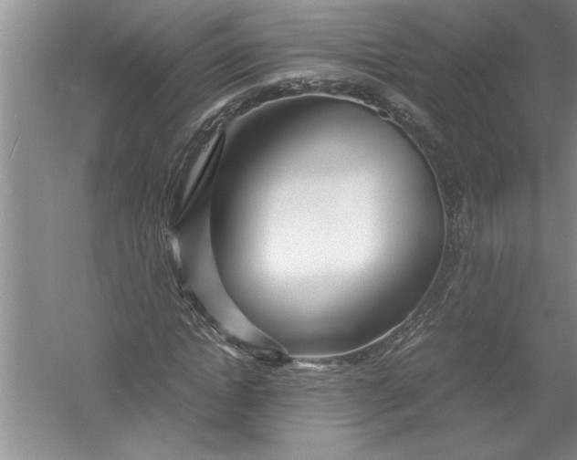 X0000054370822200508191844