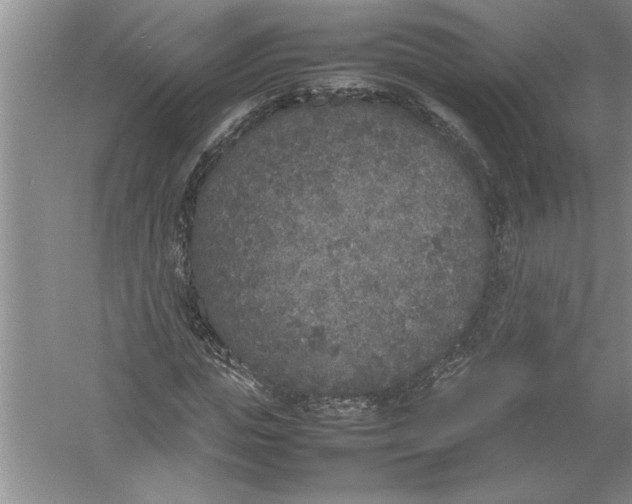 X0000054370823200508191844