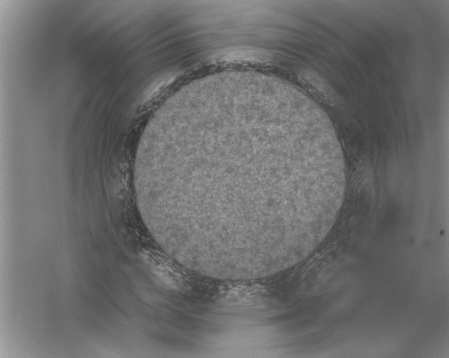 X0000054370824200508191844