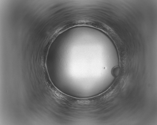 X0000054370825200508191844