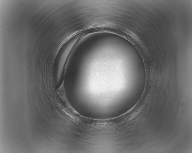 X0000054370826200508191844