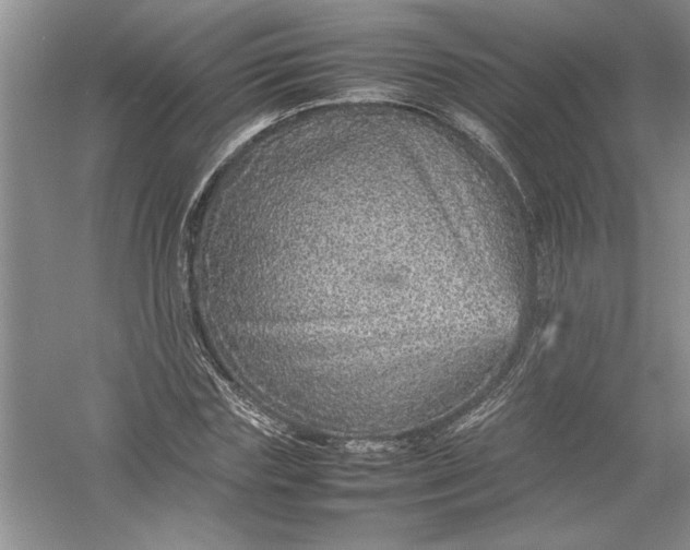 X0000054370827200508191844