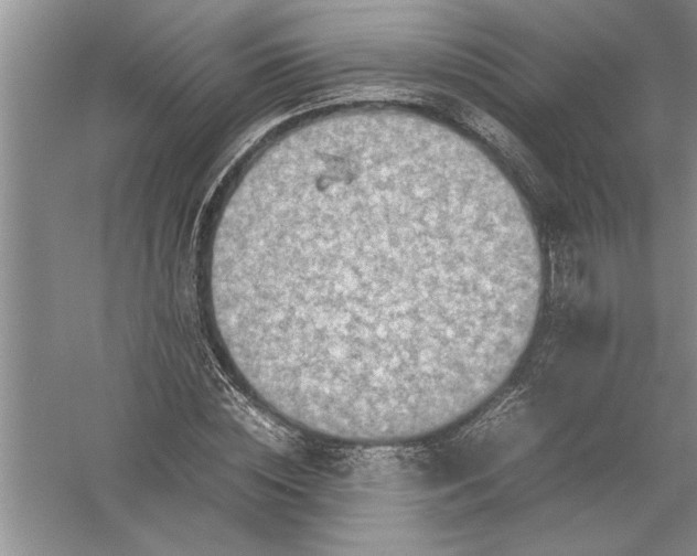 X0000054370828200508191844