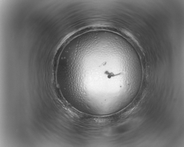 X0000054370829200508191844