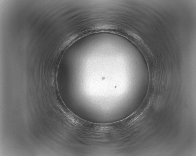 X0000054370833200508191844