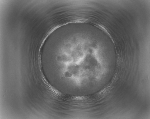 X0000054370835200508191844