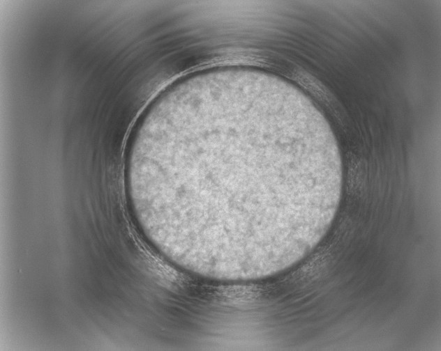 X0000054370836200508191844