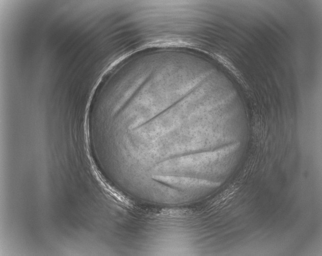 X0000054370840200508191844