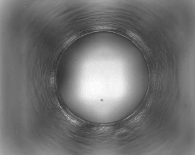 X0000054370841200508191844