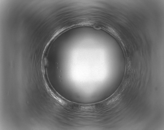 X0000054370843200508191844