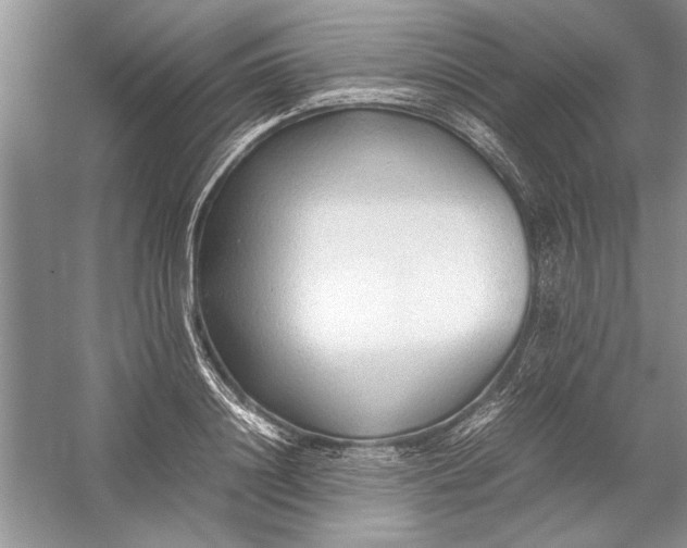 X0000054370844200508191844