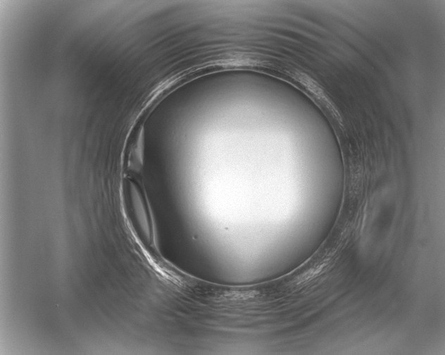 X0000054370845200508191844