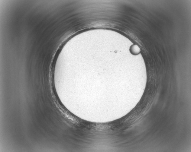 X0000054370848200508191844