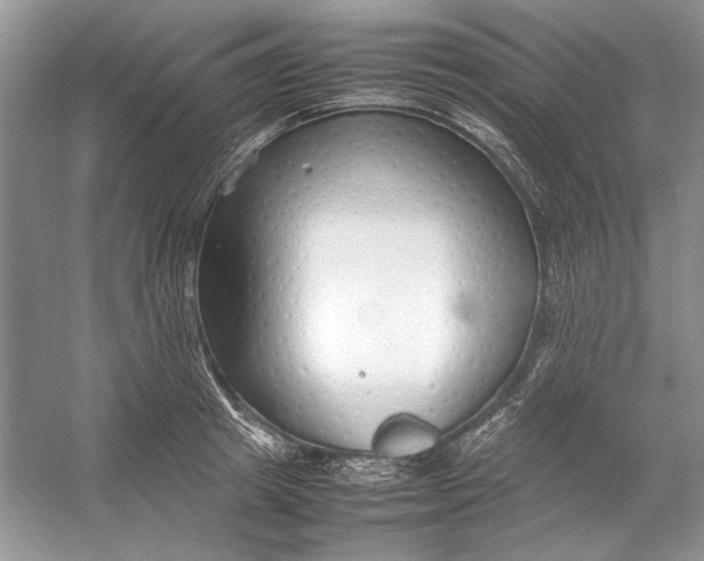 X0000054370849200508191844