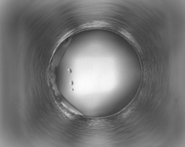 X0000054370850200508191844