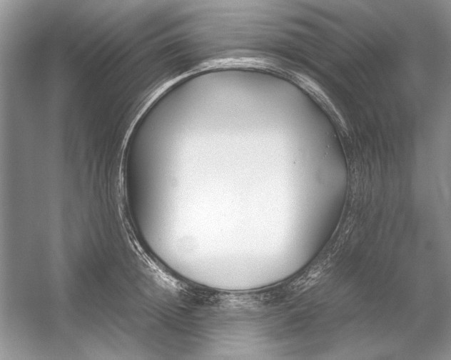 X0000054370852200508191844