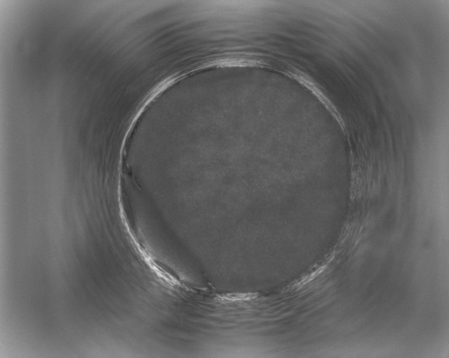 X0000054370853200508191844