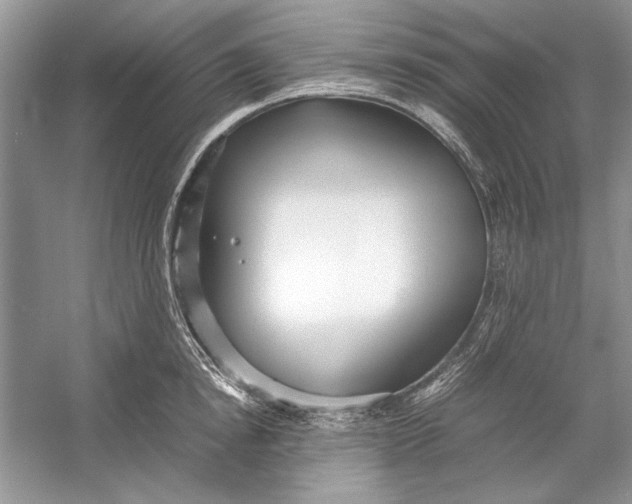 X0000054370854200508191844