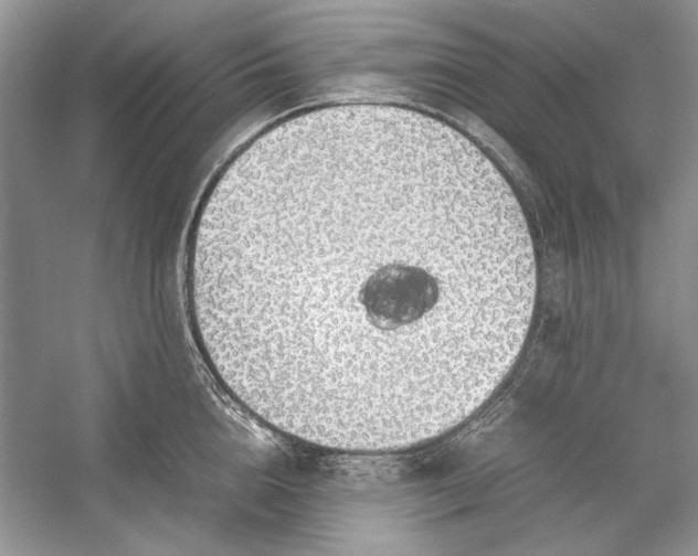 X0000054370856200508191844