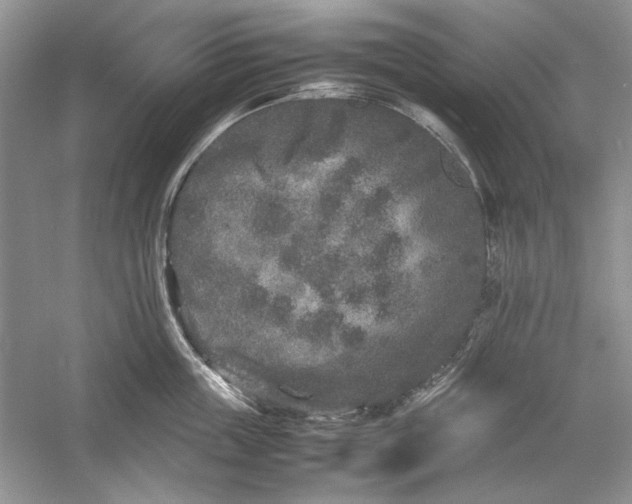 X0000054370859200508191844