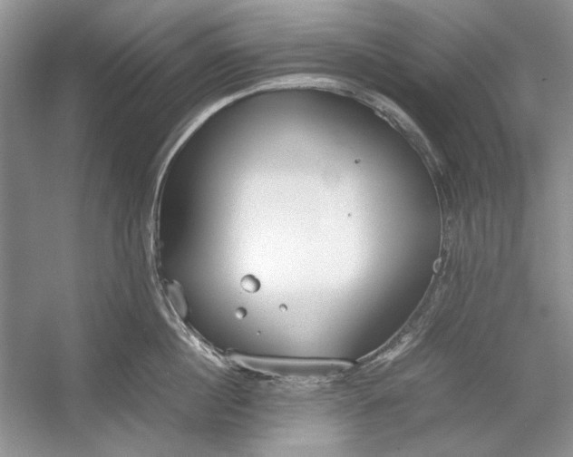 X0000054370860200508191844