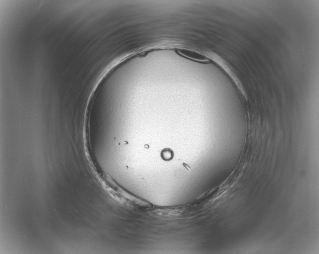 X0000054370861200508191844