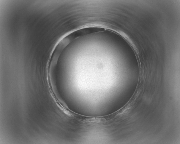 X0000054370862200508191845