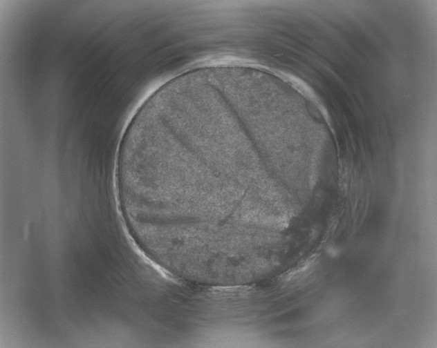 X0000054370863200508191845