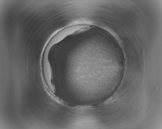 X0000054370864200508191845