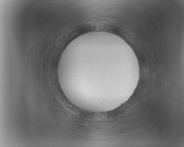 X0000054370865200508191844