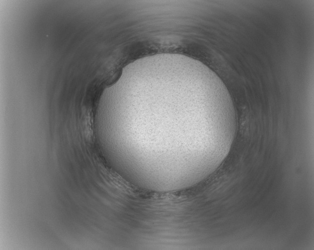 X0000054370866200508191844