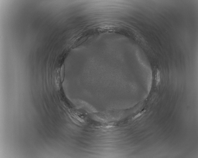 X0000054370868200508191844