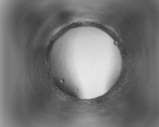 X0000054370871200508191844