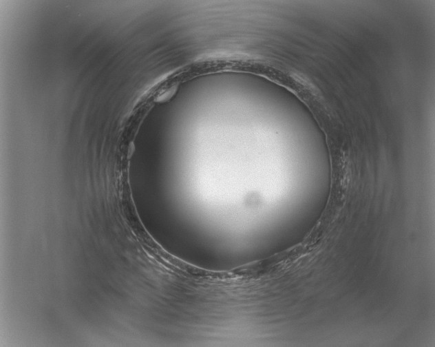 X0000054370872200508191844