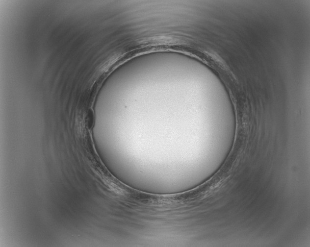 X0000054370873200508191844