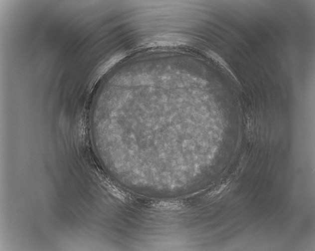 X0000054370874200508191844