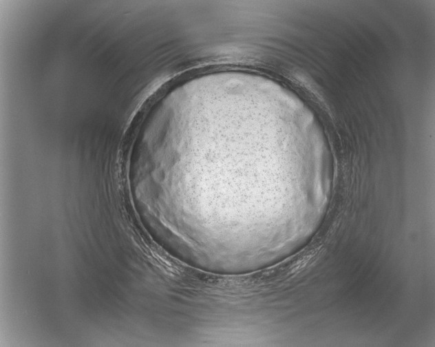 X0000054370875200508191844