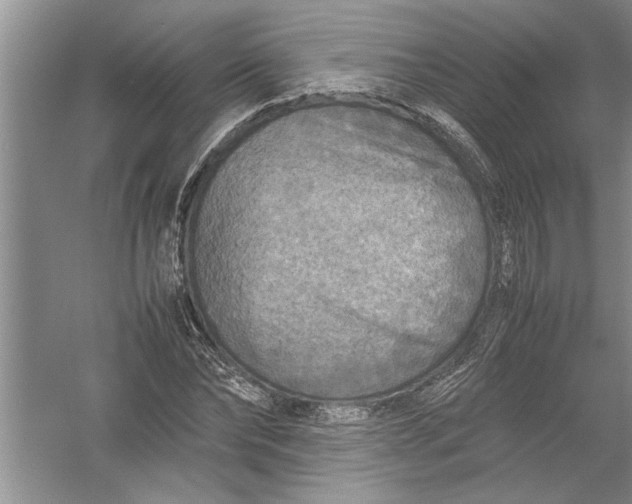 X0000054370878200508191844