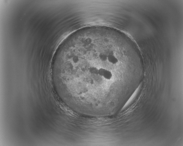 X0000054370879200508191843