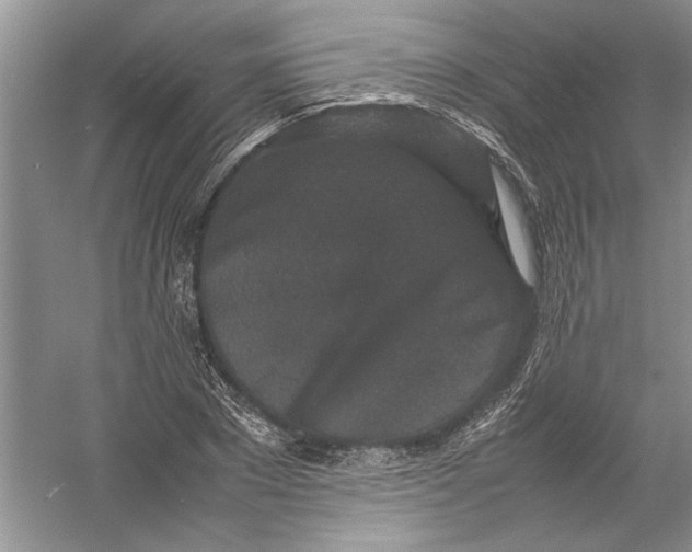 X0000054370881200508191843