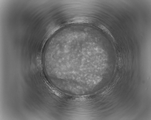 X0000054370882200508191843