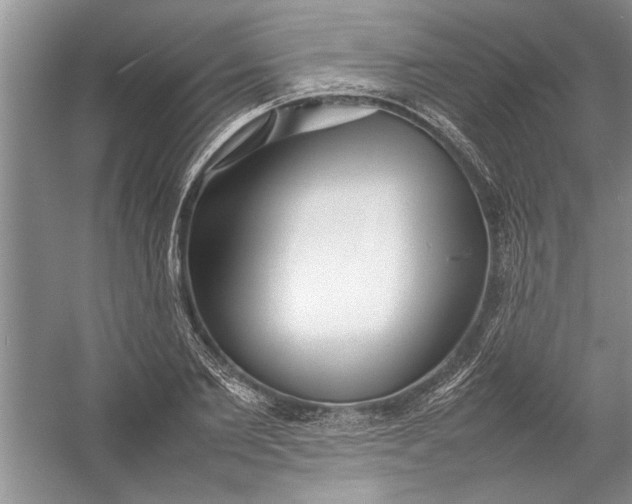 X0000054370885200508191843