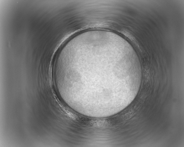 X0000054370886200508191843