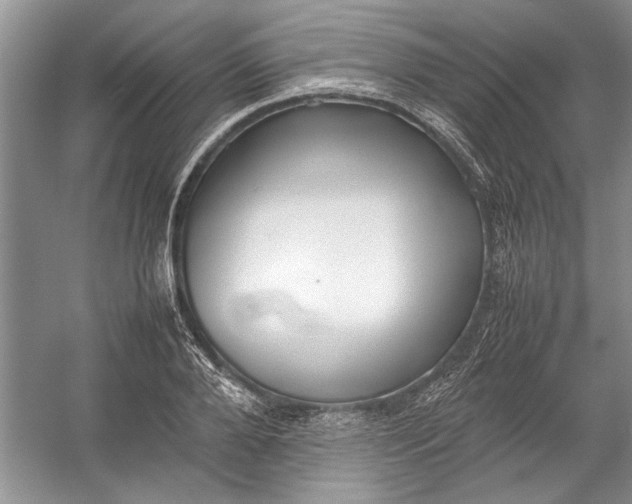 X0000054370888200508191843