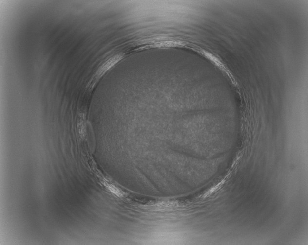 X0000054370889200508191843