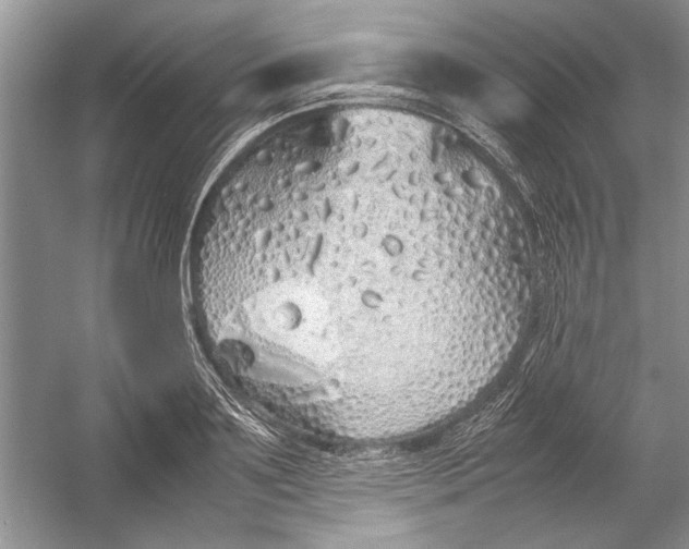 X0000054370891200508191843