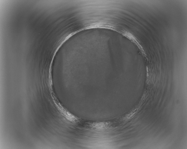 X0000054370892200508191843