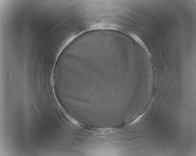 X0000054370893200508191843