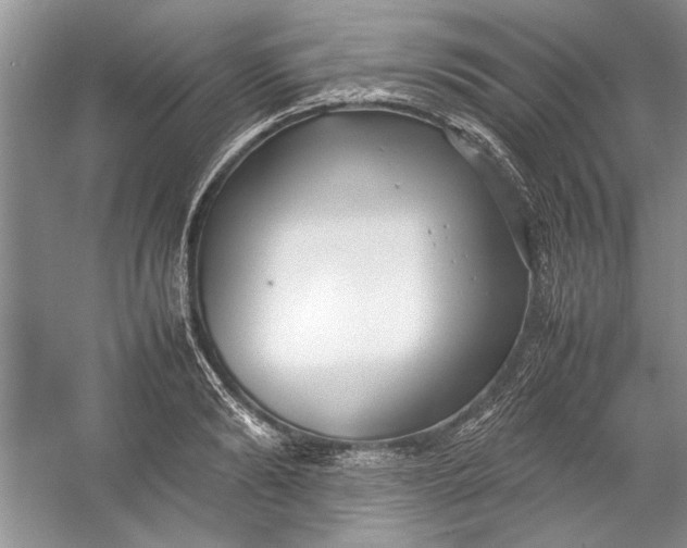 X0000054370894200508191843