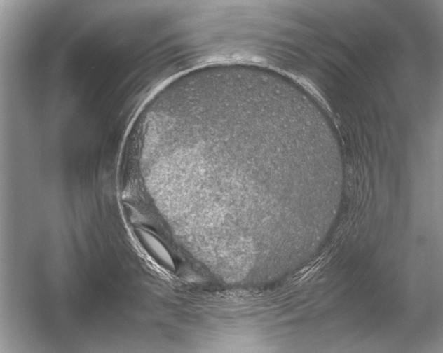 X0000054370895200508191843